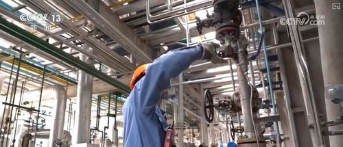 炼化工厂成鸟儿新家 绿色工业设计服务，尽显工业之美